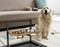Premium Verhoogd Honden Voederstation - SnackHaven