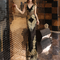 Raissa - Women's Long Dress with Timeless Chic