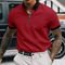 Edvard - Elegant Half Zip Polo Shirt for Men