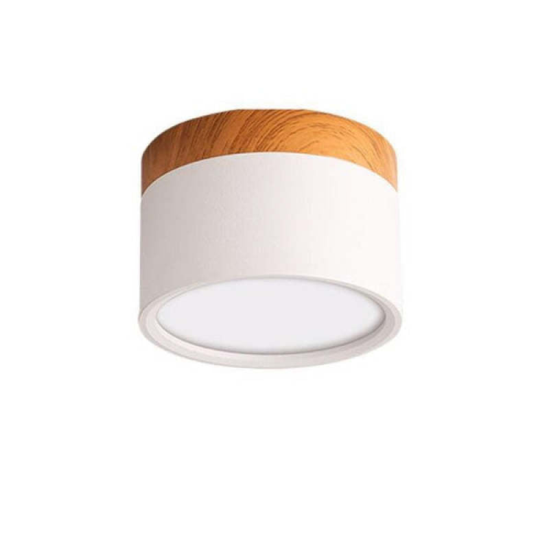 Dioren – Modern LED Ceiling Light