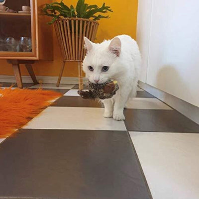 Interactive Cat Toy - ChirpBird