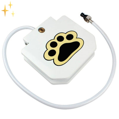 Interactive Dog Fountain Toy - PawSplash