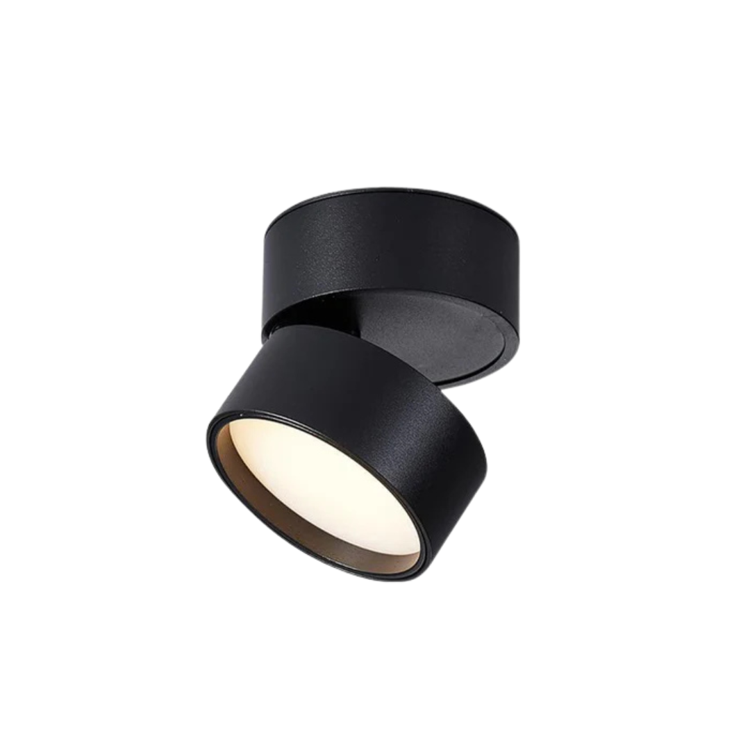 Luminexis - Adjustable LED Ceiling Light 1 Light