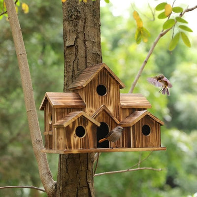 WillowNest functioneel houten vogelhuisje
