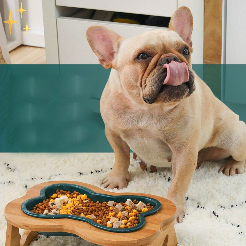Ceramic Dog Food Bowl with Wooden Stand - BoneFeast