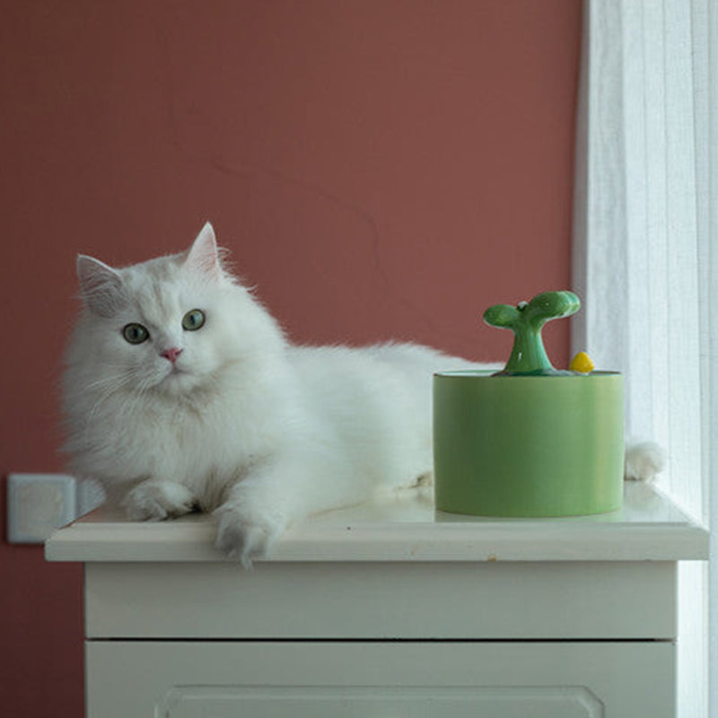 Cat Fountain - SpringFlow 