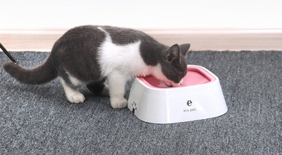 Pet Splash Bowl