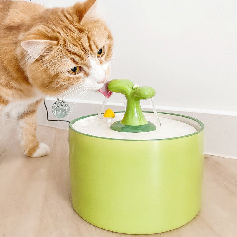 Cat Fountain - SpringFlow 