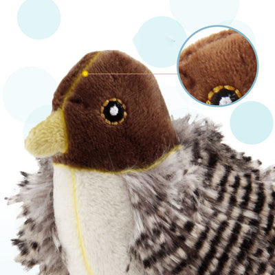 Interactive Cat Toy - ChirpBird