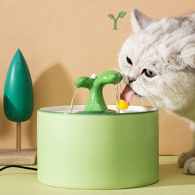 Cat Fountain - SpringFlow 