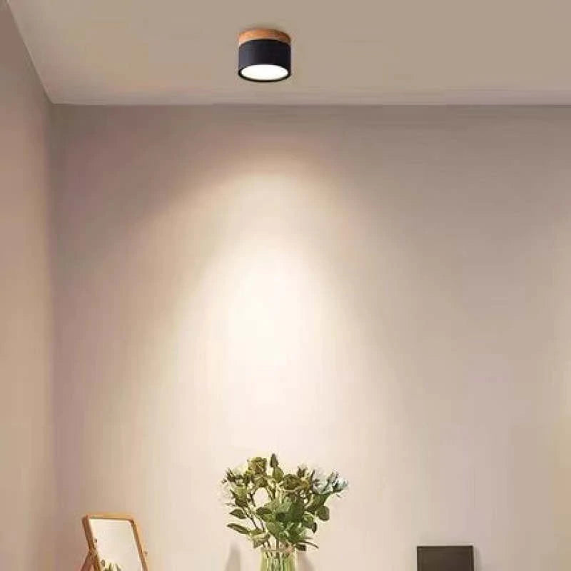 Dioren – Modern LED Ceiling Light