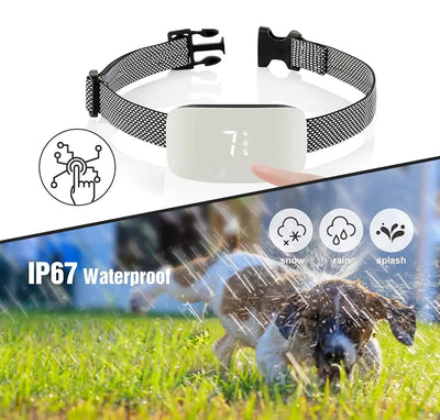 QuietPaw - Oplaadbare Trainingshalsband voor Honden