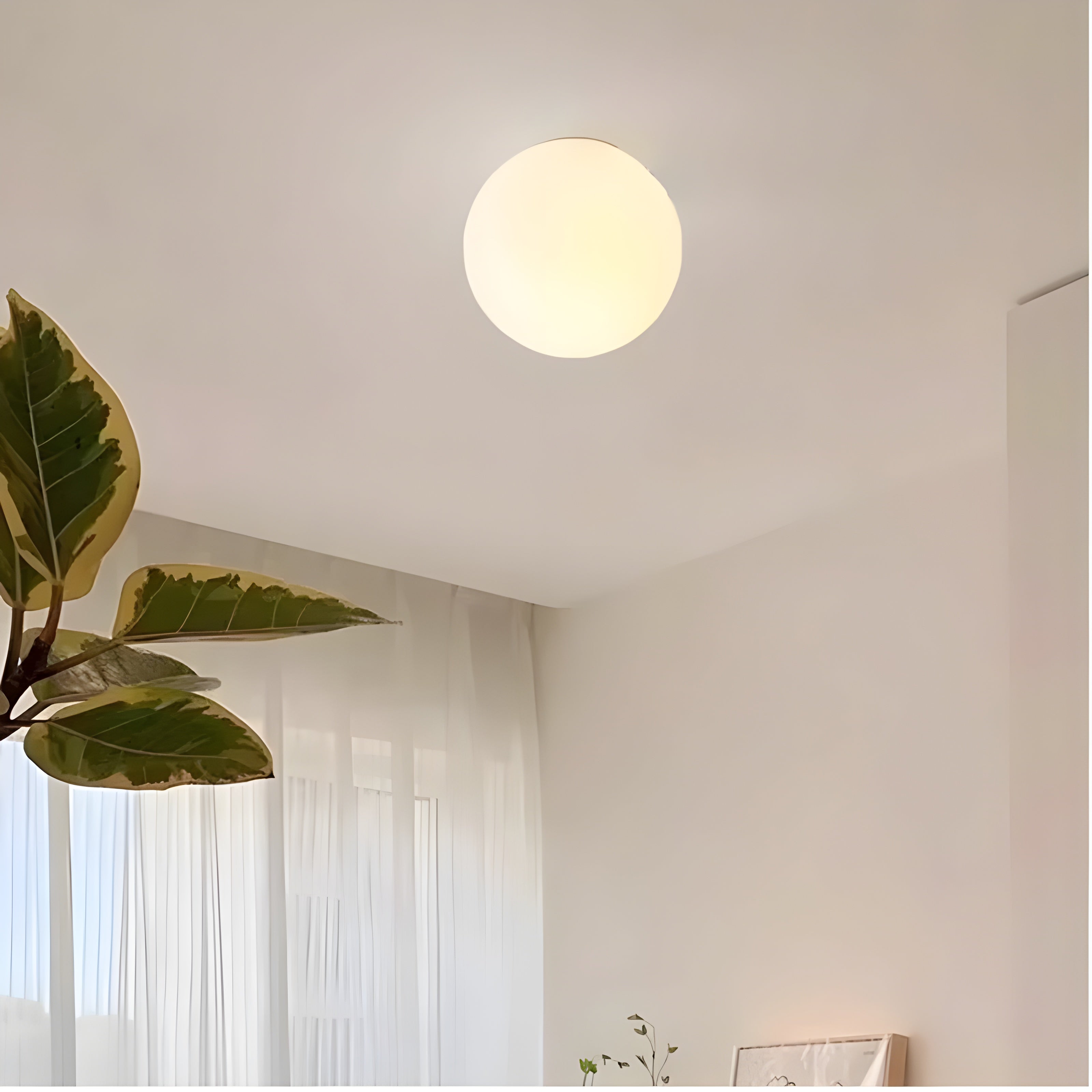 Carnad - Modern Frosted Glass Wall Lamp
