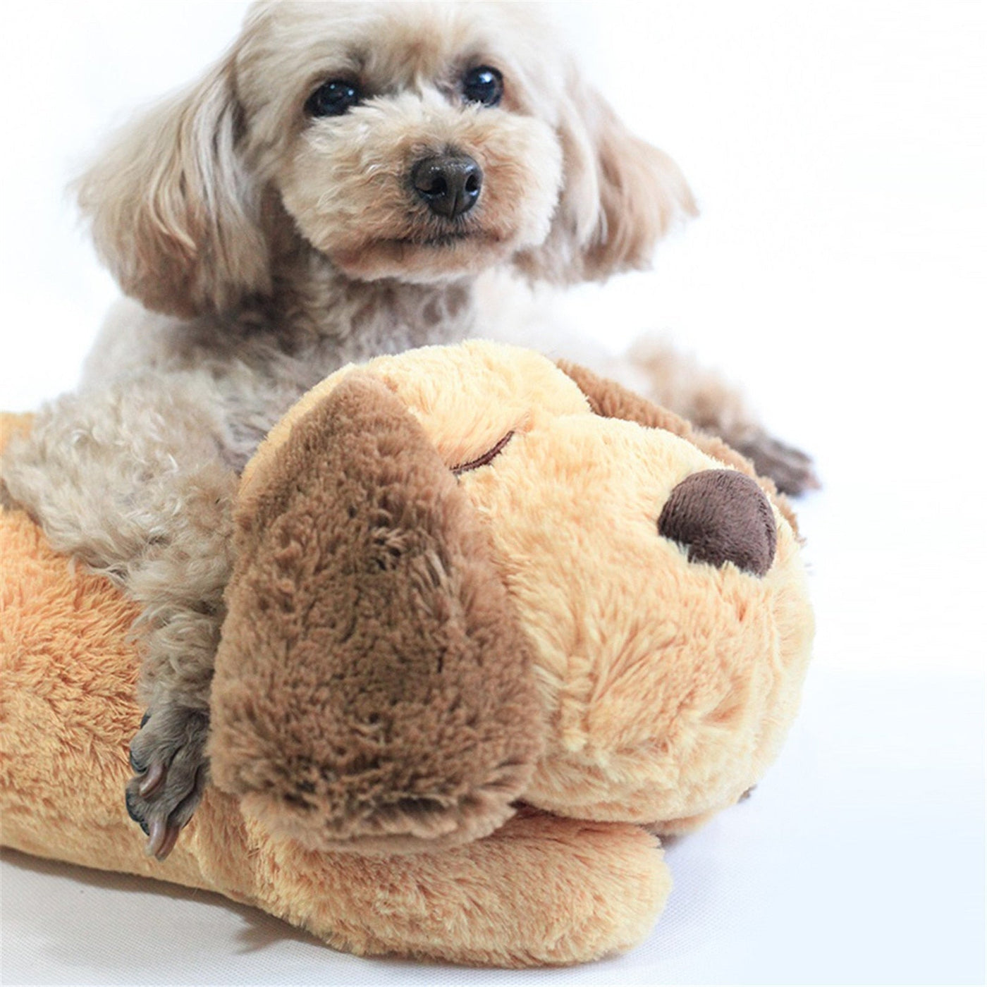 CuddlePup – Een rustgevend vriendje voor jouw viervoeter!