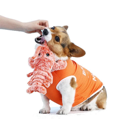 Interactive Dog Toy - BouncyLobster