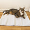 Zelfverwarmende Kattenmat - WarmPurr