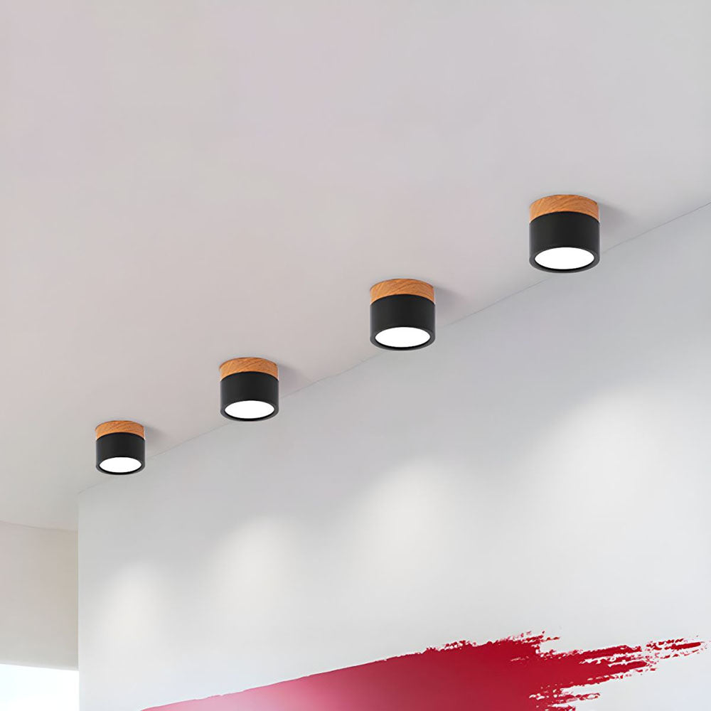 Braylix - Compact LED Flush Mount Ceiling Light