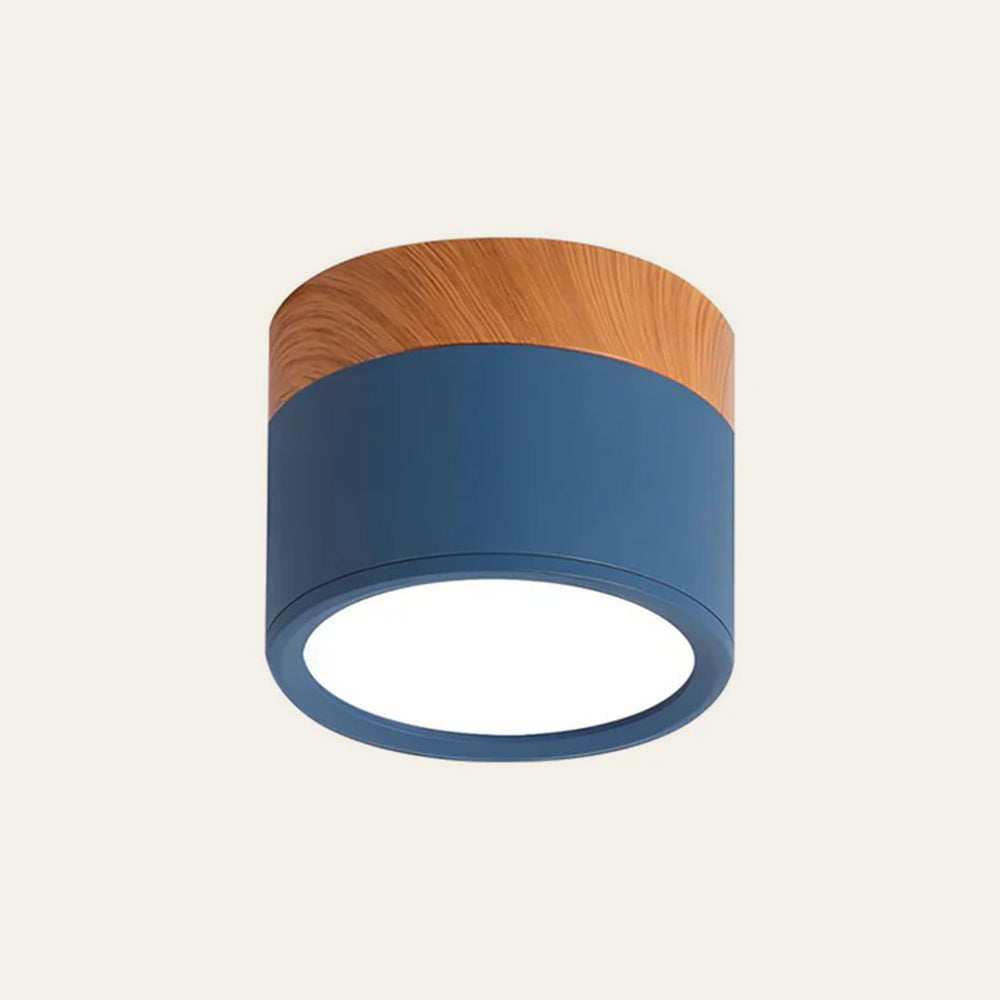 Braylix - Compact LED Flush Mount Ceiling Light