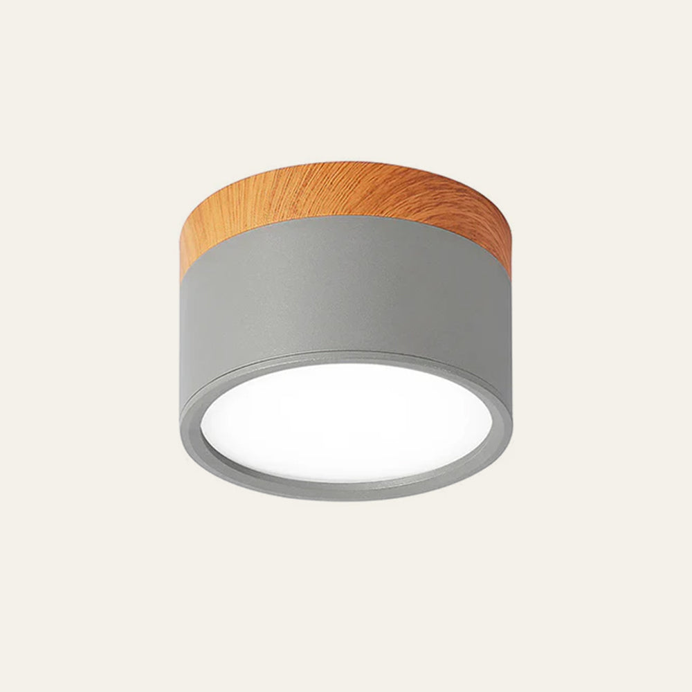 Braylix - Compact LED Flush Mount Ceiling Light