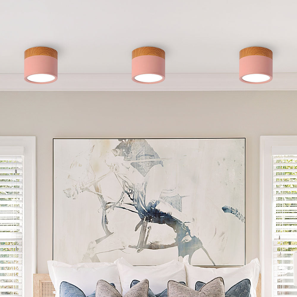 Braylix - Compact LED Flush Mount Ceiling Light