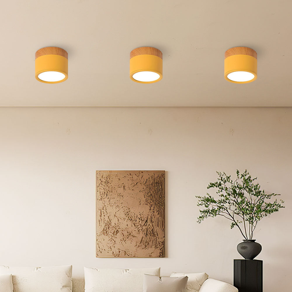 Braylix - Compact LED Flush Mount Ceiling Light