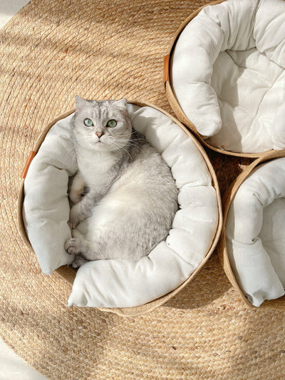 Handmade Comfortable Bed for Cats - LuxeSnooze