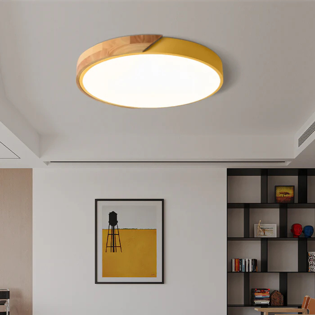 Luned – Modern LED Ceiling Light Round Surface Mount