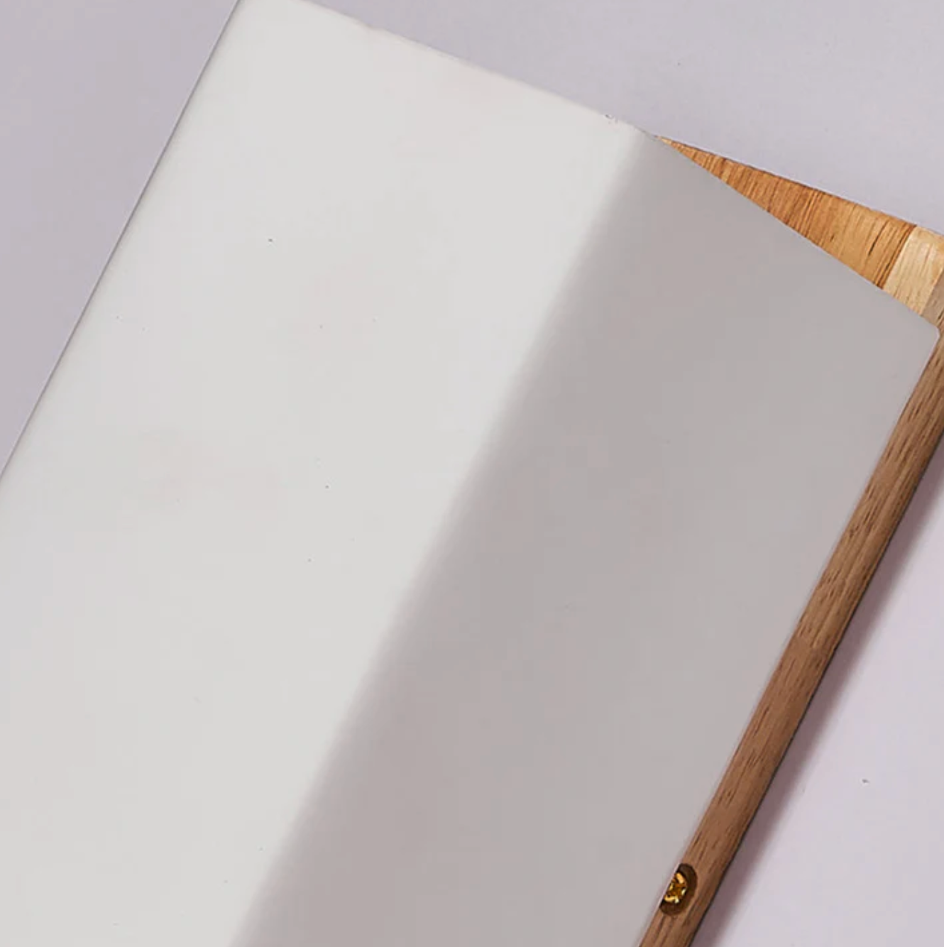 Wiora - Wood Wall Light Frosted Shade Sconce