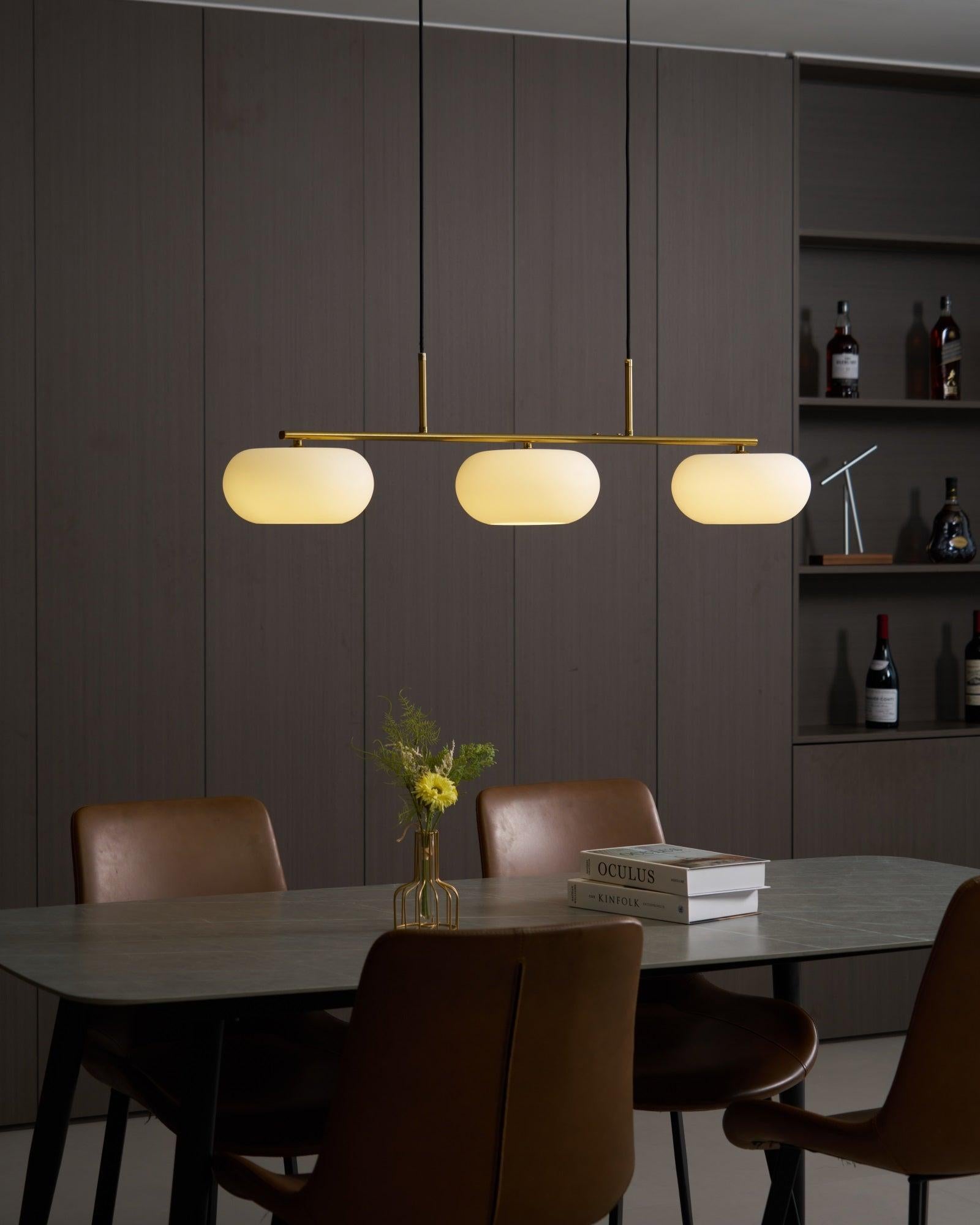 Birelun - Adjustable Glass Globe Pendant Light