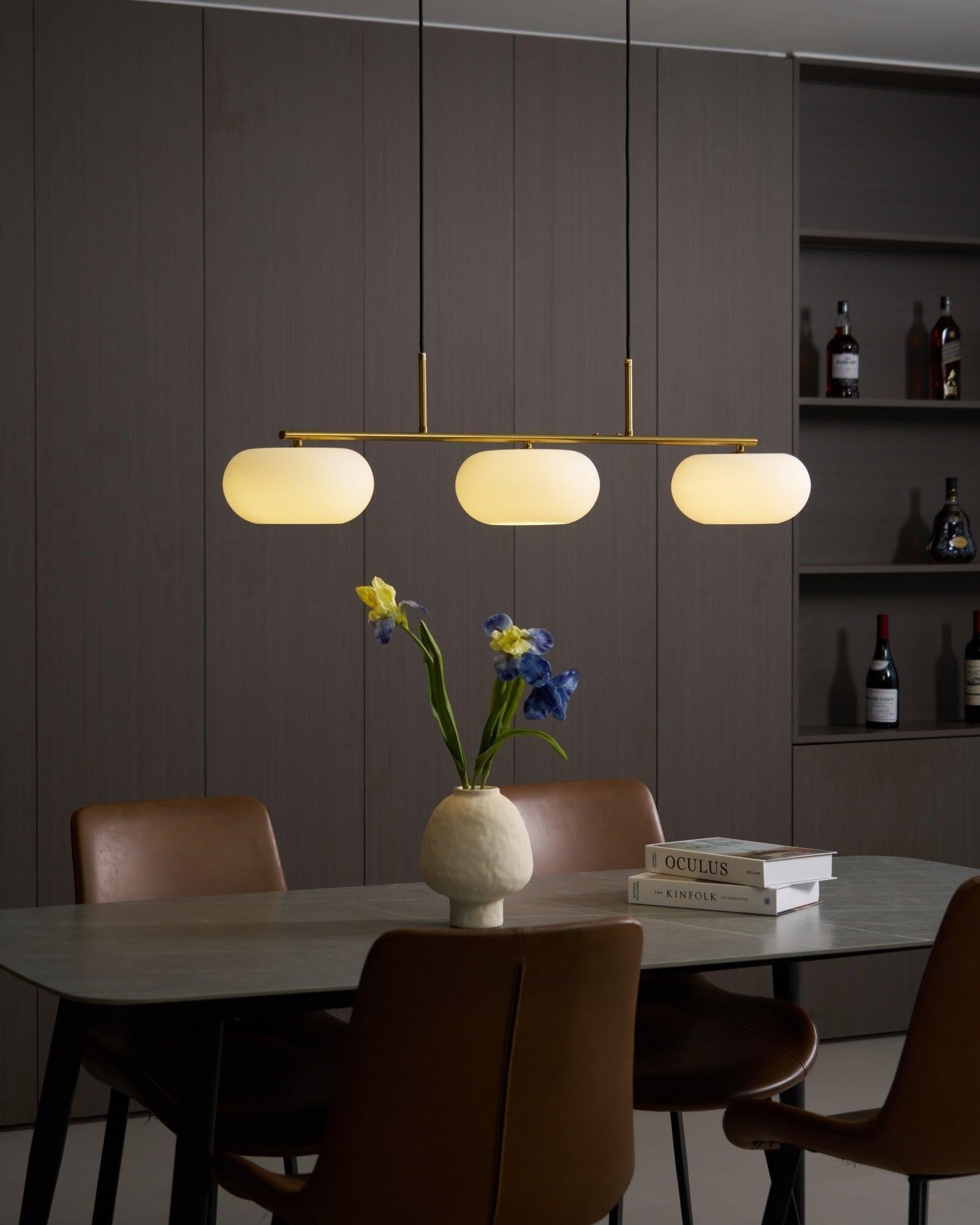 Birelun - Adjustable Glass Globe Pendant Light