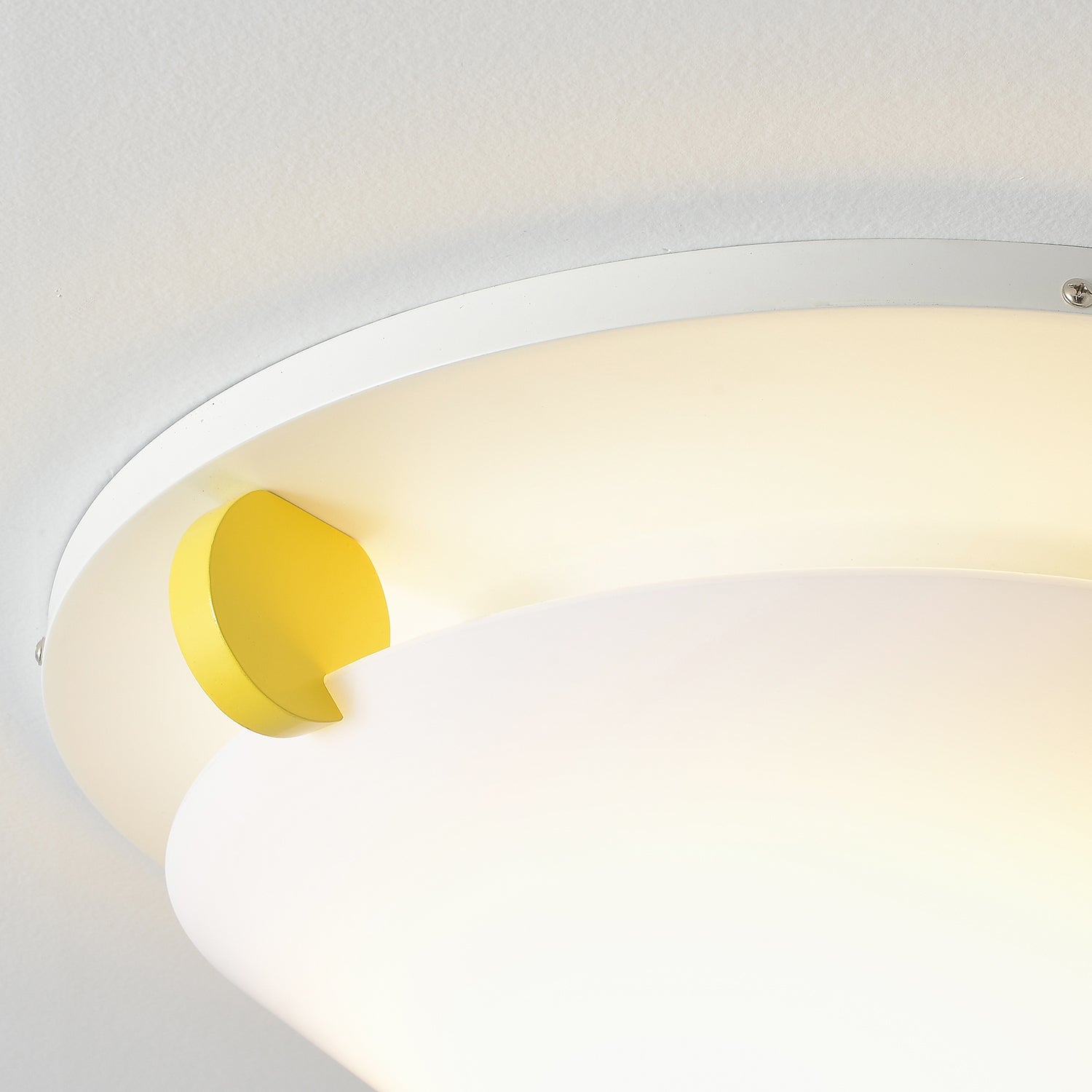 Cunorix – Creative Ceiling Light