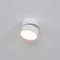 Cerix – Indoor LED Ceiling Spotlight Swivel