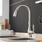 Aquastra - Kitchen Tap Flexible Pull Out Spout
