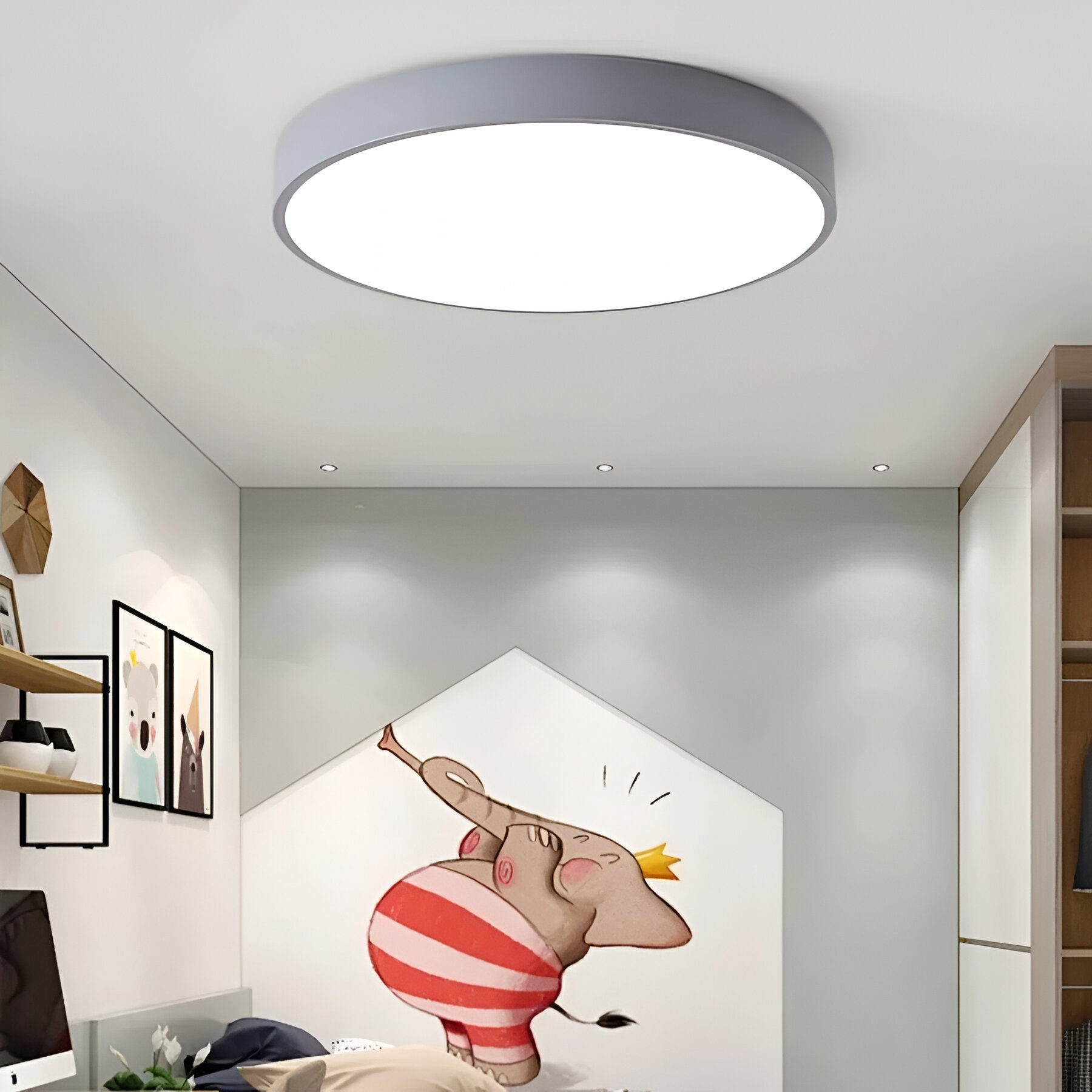 Denrad – Modern LED Ceiling Light with Acrylic Shade
