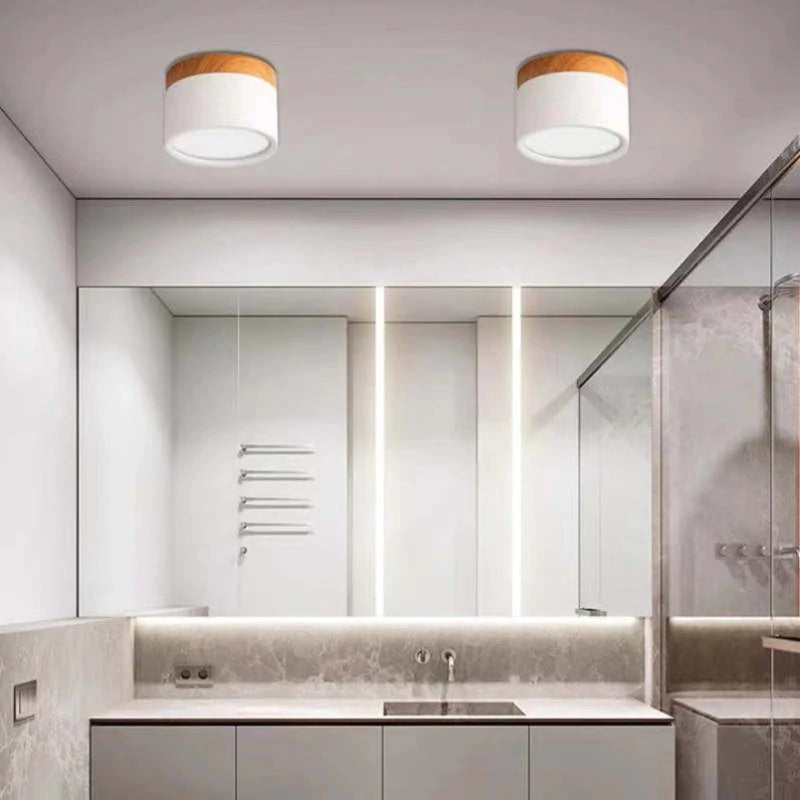Dioren – Modern LED Ceiling Light