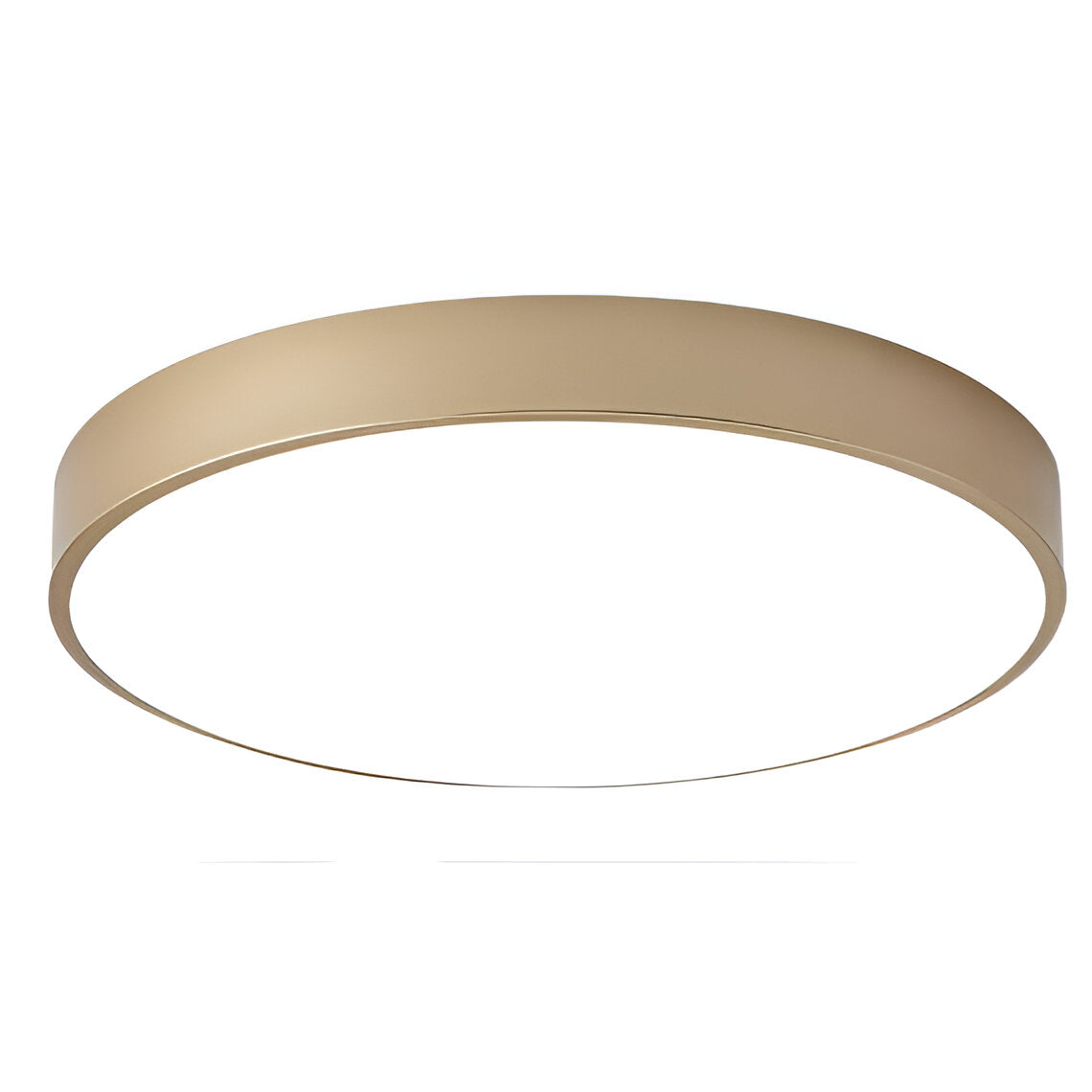 Denrad – Modern LED Ceiling Light with Acrylic Shade