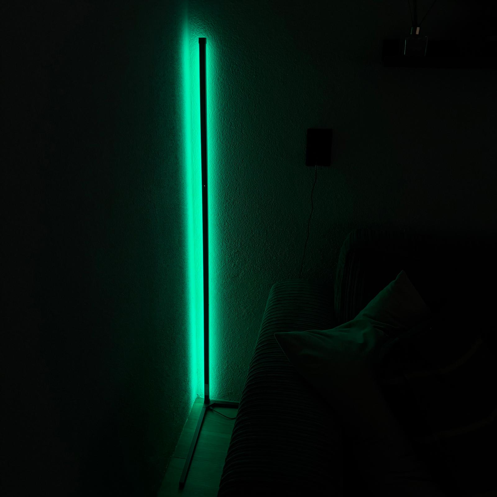 Varax – LED Floor Lamp