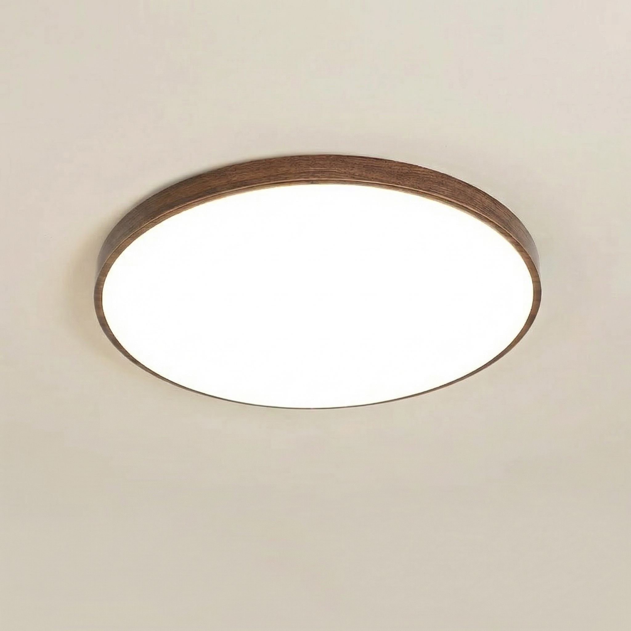 Niore - 40CM Round LED Ceiling Light