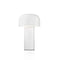 Lumivia - Portable LED Table Lamp Elegant Lighting