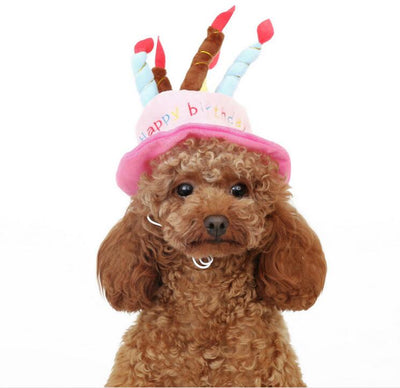 Verjaardagshoed voor Honden en Katten - PartyPaws