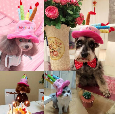 Verjaardagshoed voor Honden en Katten - PartyPaws