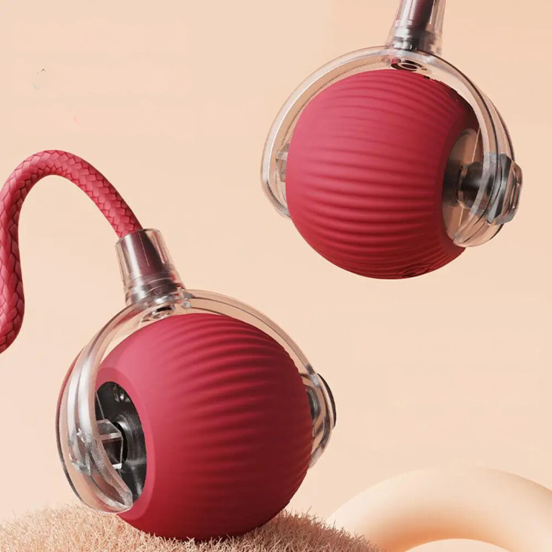 Interactive Hunter Ball for Cats - PouncePal