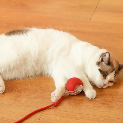Interactive Hunter Ball for Cats - PouncePal
