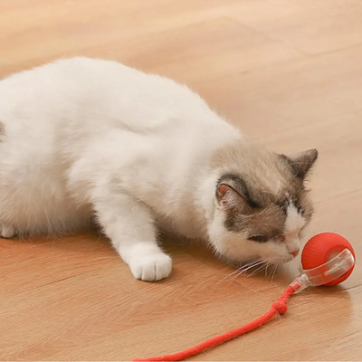 Interactive Hunter Ball for Cats - PouncePal