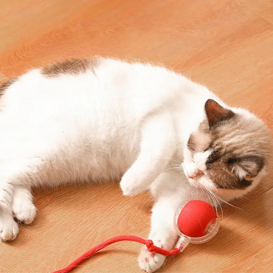 Interactive Hunter Ball for Cats - PouncePal