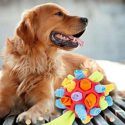 Interactive Dog Toy - SnuffleFun