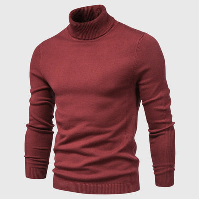 Dennis - Stylish Turtleneck